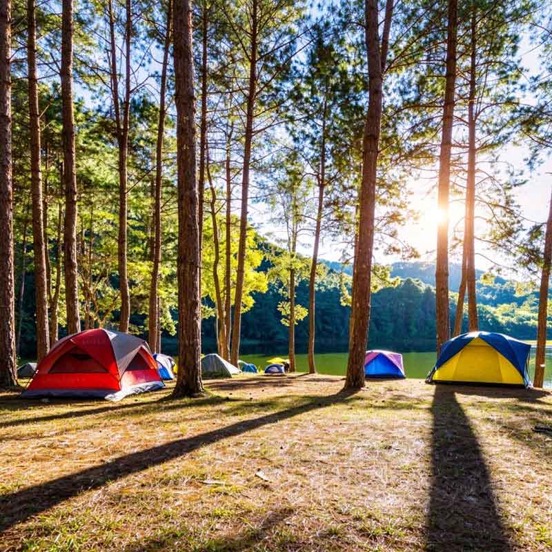 Articole de camping